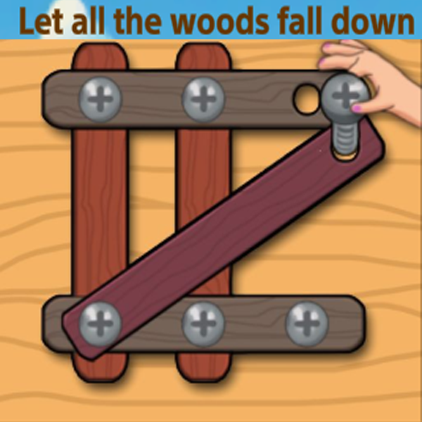 wood-nuts-master-screw-puzzle